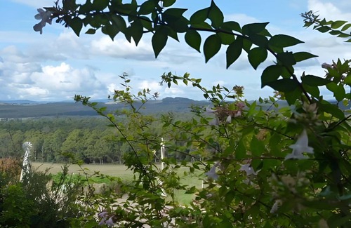 Latrobe Bed & Breakfast | 85 m² Bed and breakfast ∙ 4 guests