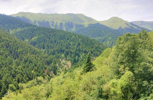 Lake Plastiras House | 90 m² House ∙ 3 bedrooms ∙ 5 guests
