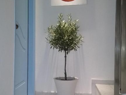 Ermoupoli Apartment | Aiantas