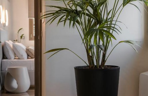 Lixouri Apartment | APARKTION