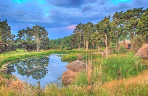 Ruatangata West Other | Camping ∙ 1 bedroom ∙ 2 guests
