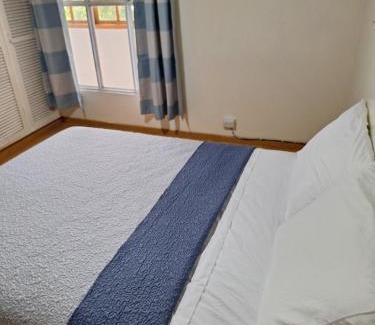San Jose Hostel | Carolina hostel