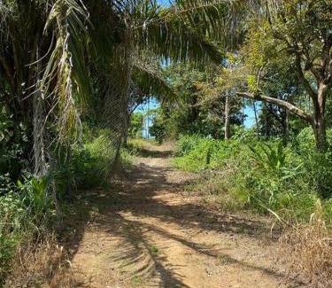 Langostino House | Casa Limon