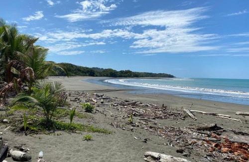 Langostino House | Casa Limon