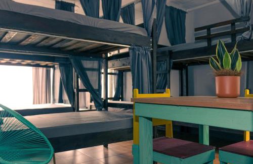 Barrio Dent Hostel | Chillout Hostel Barrio Escalante