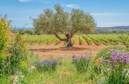 Karavados Villa | Dora