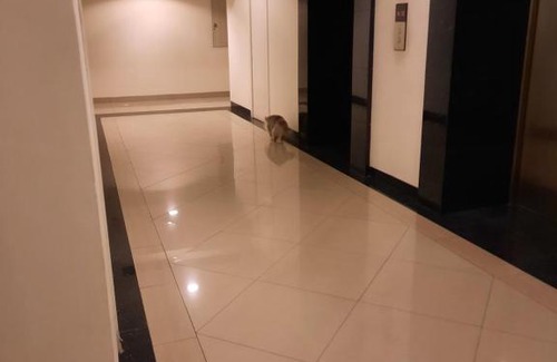 Pekayon Jaya Apartment | grand kamala lagon studio room tower barclay