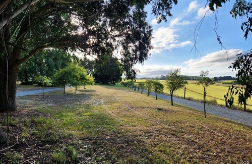 Timaru House | House ∙ 1 bedroom ∙ 2 guests