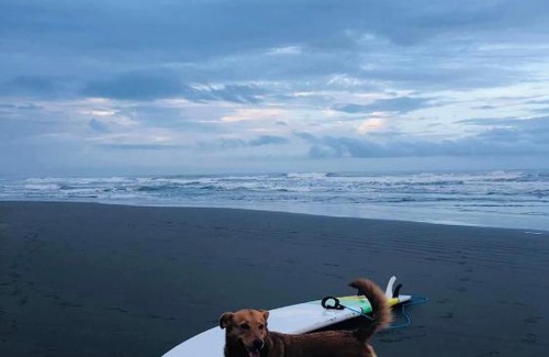 Cahuita House | LA CASA DE PLAYA CAHUITA