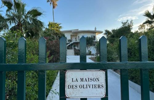 Kato Diminio Villa | La maison des oliviers