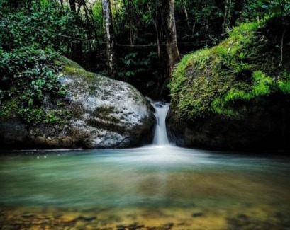 Rivas Hostel | Montaña Verde