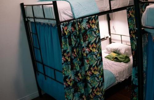 San Jose Hostel | NATIVUS Art-Hostel