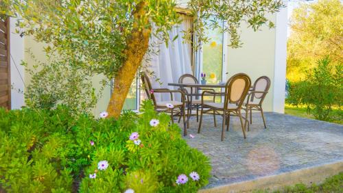 Lixouri Apartment | Olive Τrees Garden