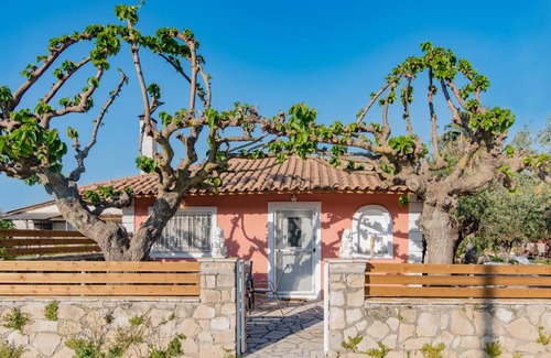 Pantokratoras House | Olive Tree House