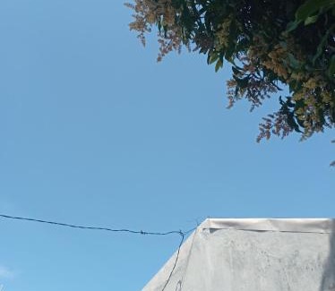 Banyuwangi Hostel | Ozan Hostel