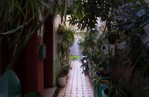 Pangrati Hostel | Pagration Youth Hostel
