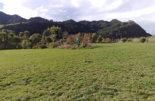 Mahurangi West Resort | Private room ∙ 2 guests