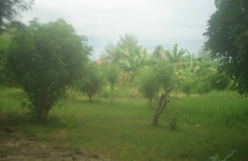 Kampial Resort | Private room ∙ 2 guests
