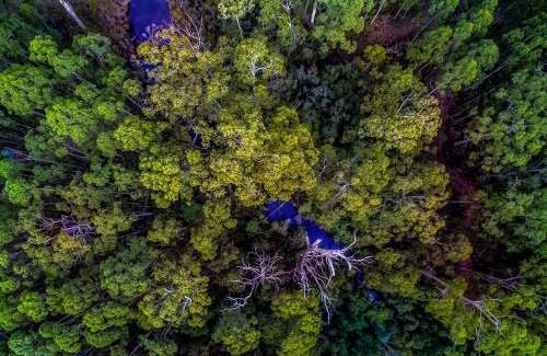 South Bruny House | Saintys Creek Cottage