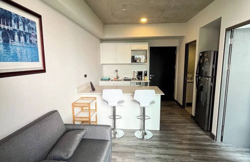 Mata Redonda Apartment | Tropical and Beautiful Apartment in #8th Floor, San Jose CRnn
