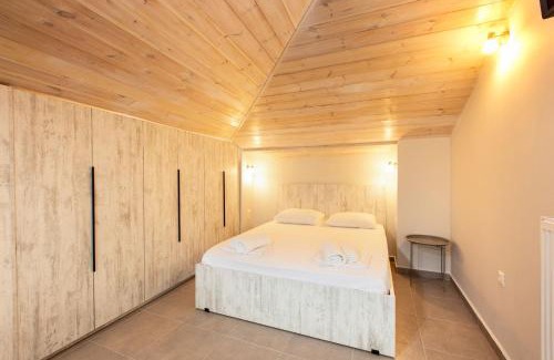 Olympiada Apartment | Villa Theasi