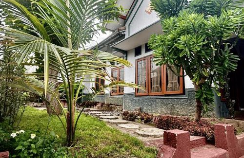 Banyuwangi Hostel | ZZZ Ijen Hostel