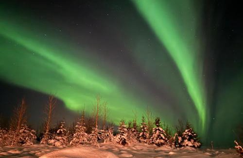 Selfoss Cabin | Ásahraun Guesthouse