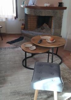 Arachova Apartment | Αρσινόη apartments 4