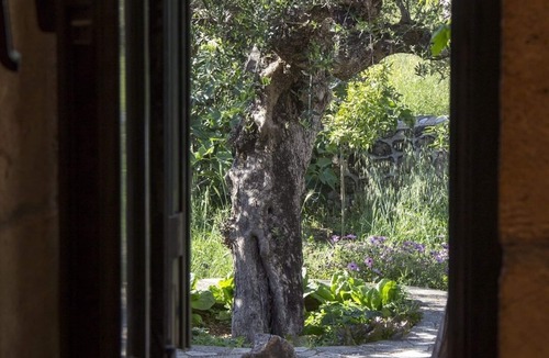 Lefktron Cottage | παραδοσιακό εξοχικό σπίτι που βρίσκεται στην ηρεμία του ελαιώνα