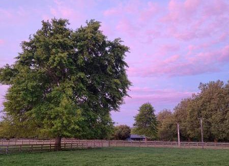 Tamahere Bed & Breakfast | 104 m² Bed and breakfast ∙ 2 bedrooms ∙ 5 guests