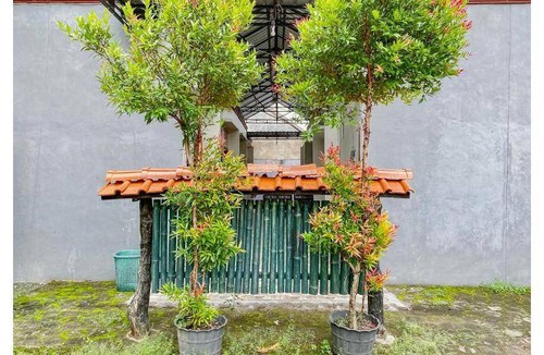 Rogojampi Bed & Breakfast | 11 m² Bed and breakfast ∙ 3 guests