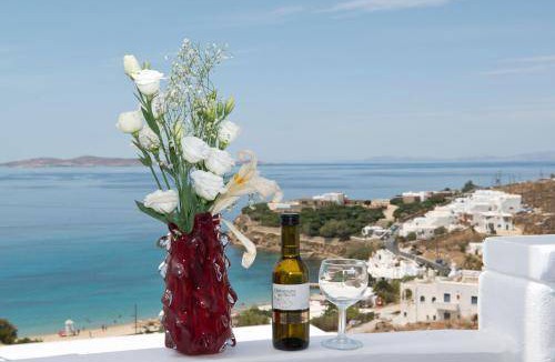 Agios Stefanos Bed & Breakfast | 1400 m² Bed and breakfast ∙ 4 guests