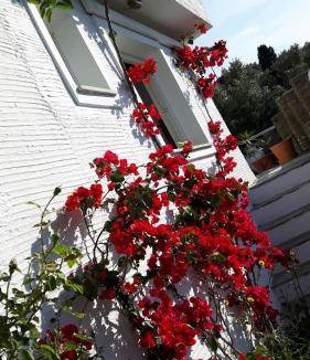 Andros Town House | 145 m² House ∙ 4 bedrooms ∙ 10 guests