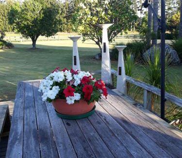 Haruru Bed & Breakfast | 16 m² Bed and breakfast ∙ 2 guests