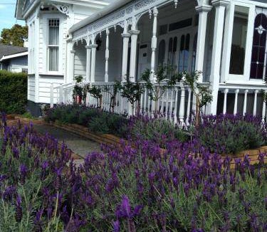 Whangarei Bed & Breakfast | 17 m² Bed and breakfast ∙ 2 guests