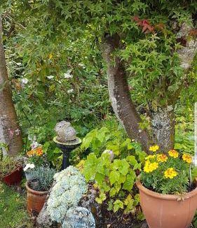 Two Mile Bay Bed & Breakfast | 180 m² Bed and breakfast ∙ 2 guests