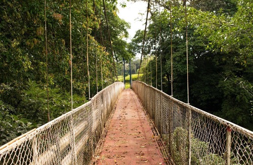 Tigre Villa | 2 Bedroom Villa with Plunge Pool