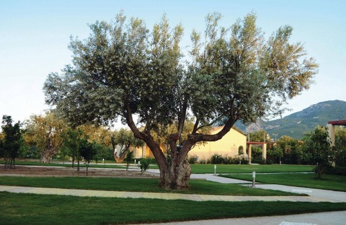 Agii Apostoli House | 2 bedroom accommodation in Agioi Apostoloi