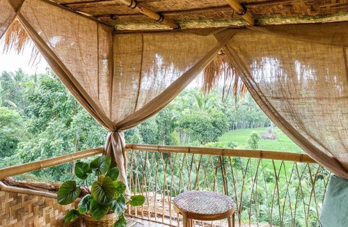 Banyuwangi Bed & Breakfast | 20 m² Bed and breakfast ∙ 3 guests
