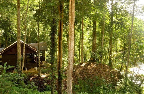Ketambe House | 20 m² House ∙ 1 bedroom ∙ 2 guests