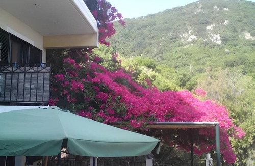 Eleios-Pronnoi Apartment | 25 m² Apartment ∙ 1 bedroom ∙ 3 guests