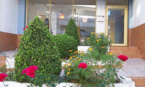 Patras Apartment | 27 m² Apartment ∙ 1 bedroom ∙ 2 guests