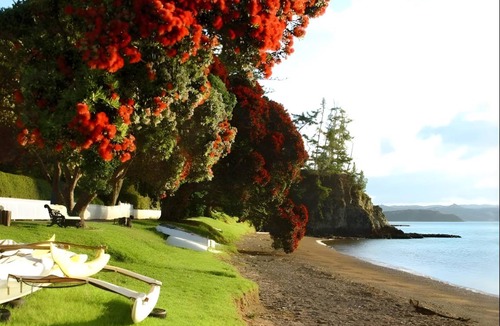 Russell Bed & Breakfast | 27 m² Bed and breakfast ∙ 3 guests