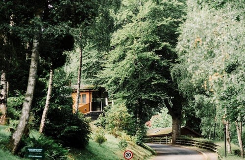 Birnam House | 3 bedroom accommodation in Birnam by Dunkeld