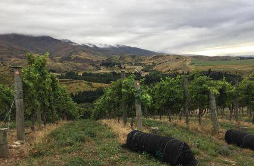 Lowburn Bed & Breakfast | 30 m² Bed and breakfast ∙ 2 guests