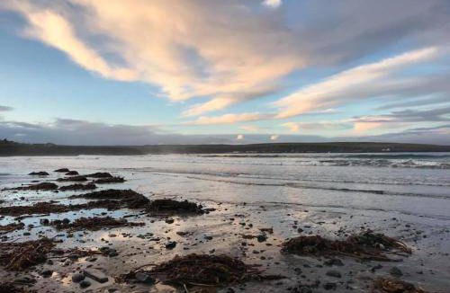 Thurso Bed & Breakfast | 30 m² Bed and breakfast ∙ 3 guests