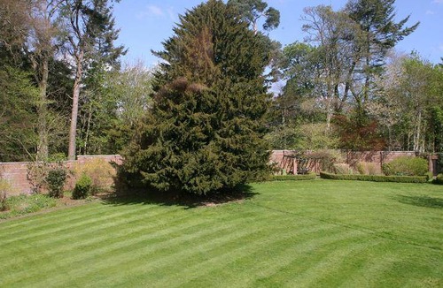 Melrose Bed & Breakfast | 30 m² Bed and breakfast ∙ 2 guests