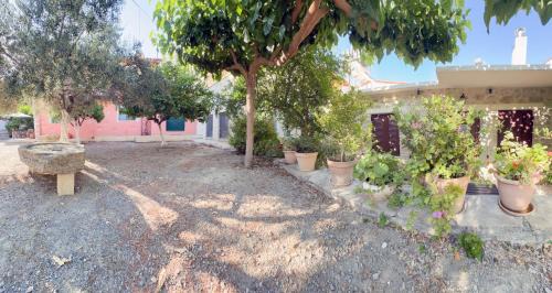 Choudetsi Apartment | 3A Tree Traditional Houses