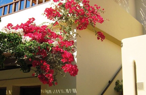 Sivas Apartment | 40 m² Apartment ∙ 1 bedroom ∙ 3 guests