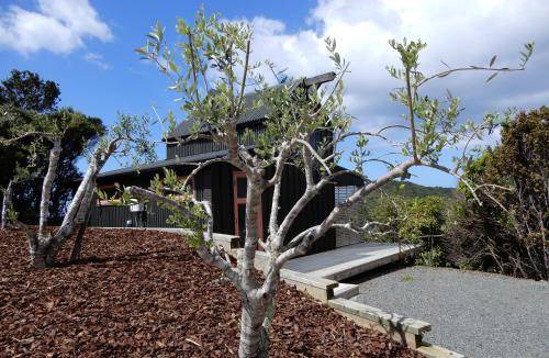 Tutukaka Bed & Breakfast | 40 m² Bed and breakfast ∙ 2 guests